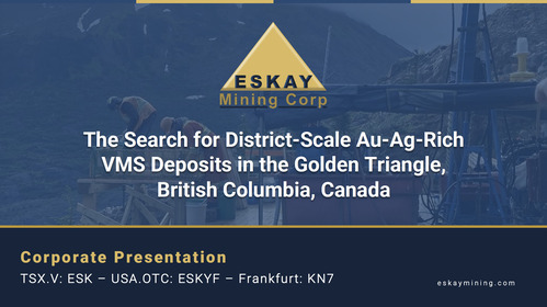 Corporate Presentation - March 2025